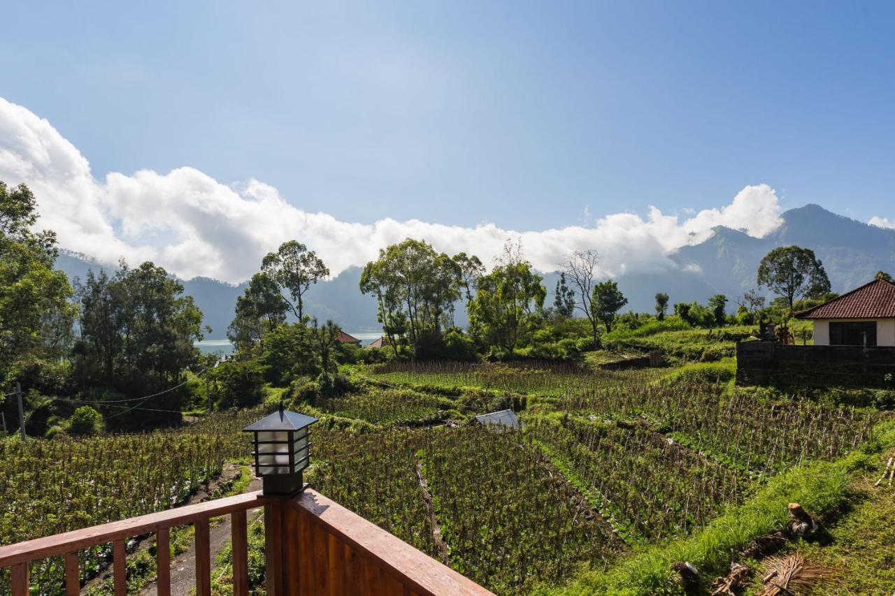 Mount Batur Villa Kintamani  Bagian luar foto